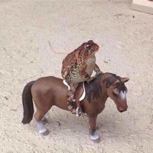 Meet your Posher, Luis